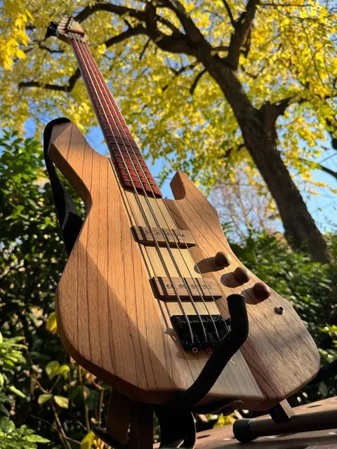 Bass Guitar