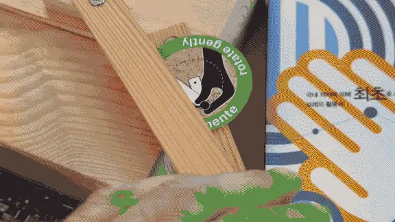 Biennale Prezi Model