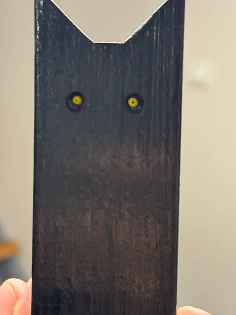 Black Cat
