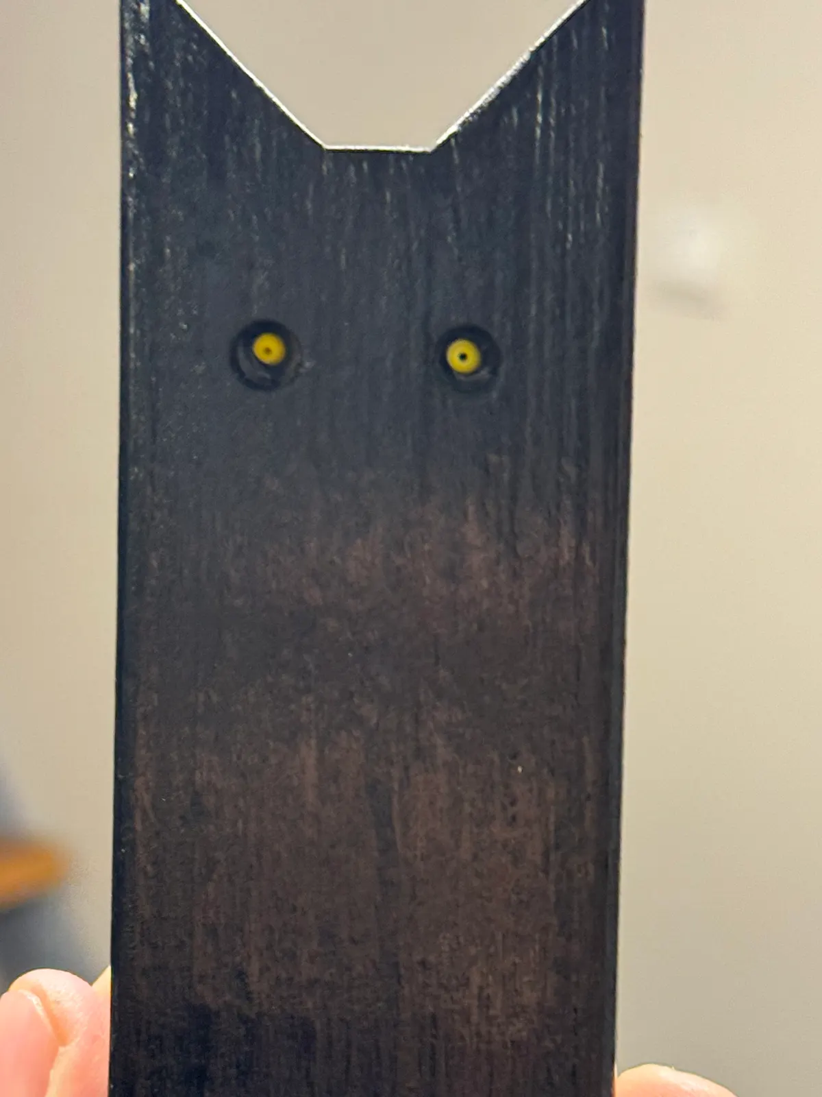 Black Cat