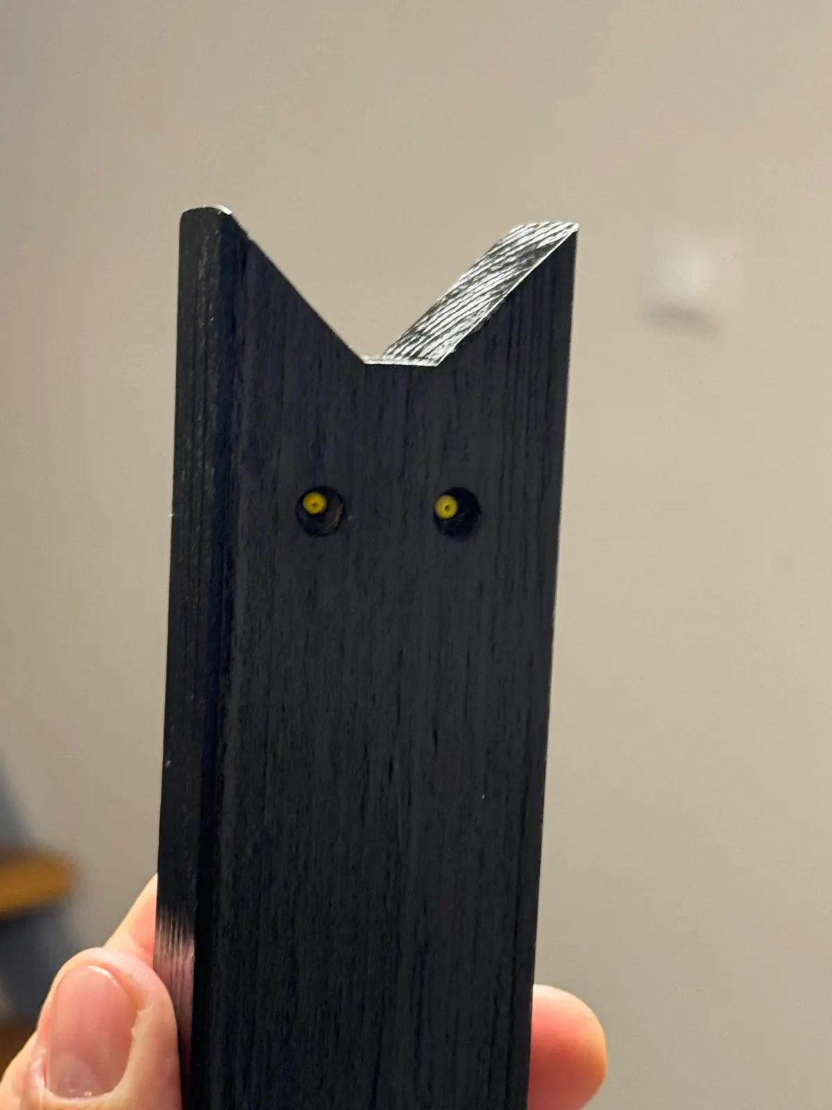 Black Cat