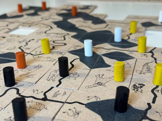 DIY Carcassonne board game