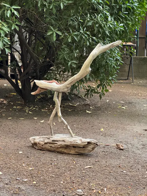 Crane