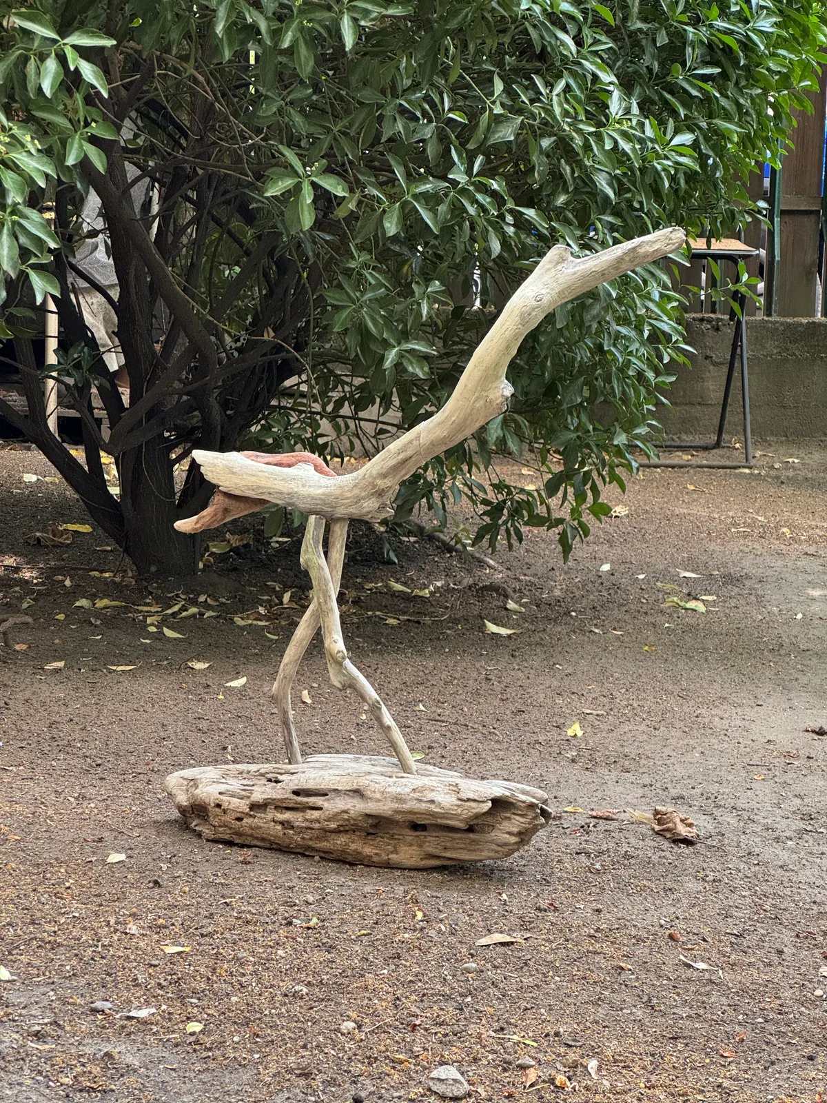 Crane